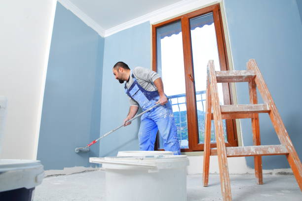 Best Black Mold Removal  in Shelbyvle, IL