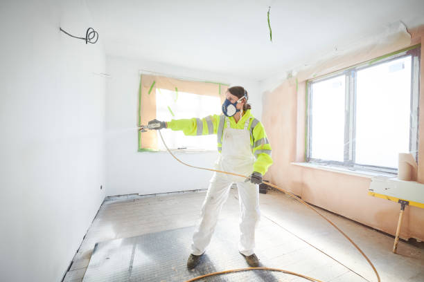 Best Basement Mold Removal  in Shelbyvle, IL