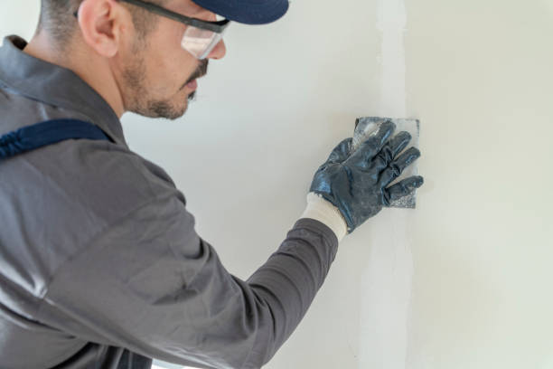 Best Mold Damage Restoration  in Shelbyvle, IL