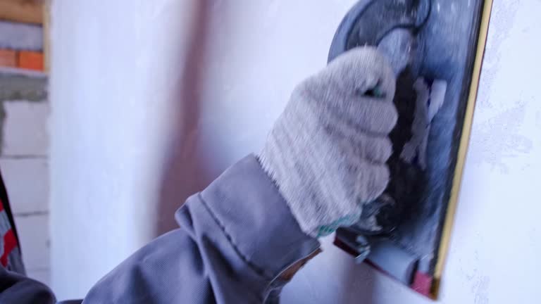 Best Mold Prevention Services  in Shelbyvle, IL