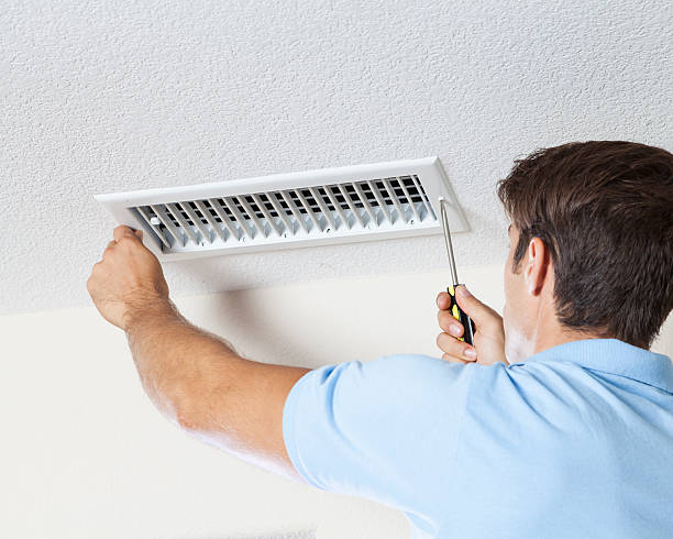 Shelbyville, IL Mold Removal Company
