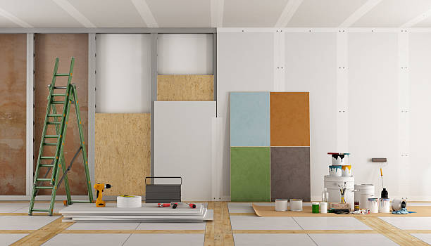 Best Attic Mold Removal  in Shelbyvle, IL